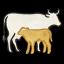 Calf first icon
